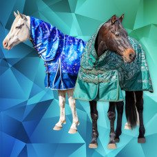 Horse Covers (151)